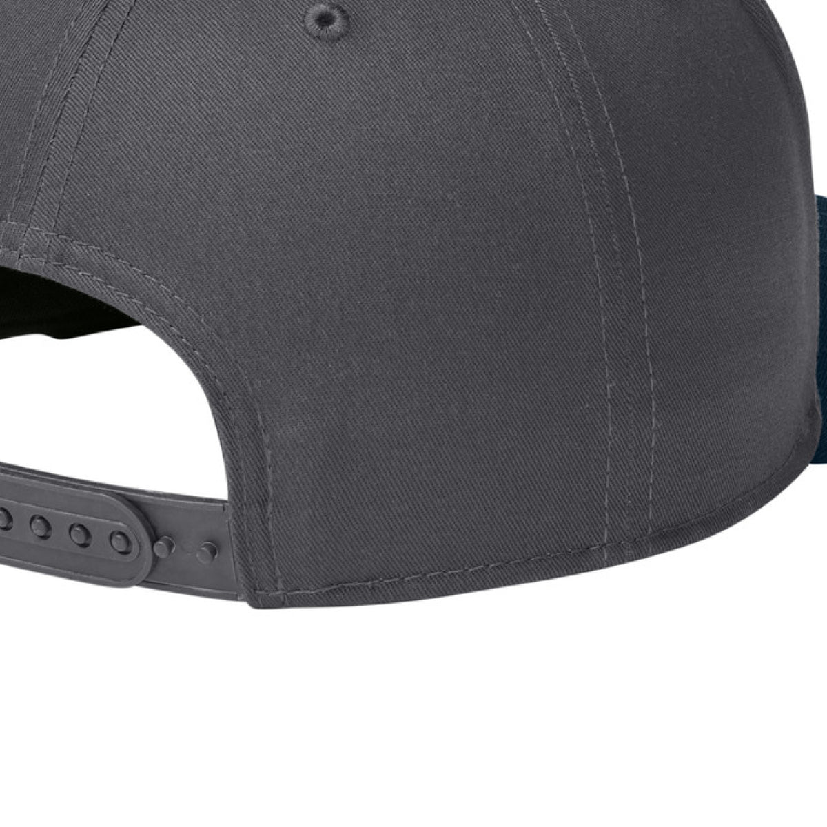 FlgCh/DpNv - BACK